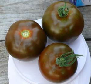 Помидоры Мавр F1 250 семян. (Lark Seeds) Помидоры Мавр F1 250 семян. (Lark Seeds)