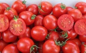 Помидоры Шкипер F1 10 000 семян. (Lark Seeds) Помидоры Шкипер F1 10 000 семян. (Lark Seeds)