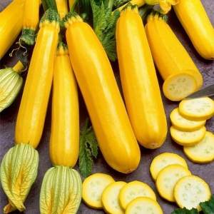 Кабачок Голдстик F1 500 семян. (Lark Seeds) Кабачок Голдстик F1 500 семян. (Lark Seeds)