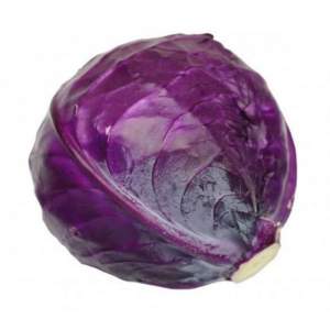 Капуста Ред Класс F1 2500 семян. (Lark Seeds) Капуста Ред Класс F1 2500 семян. (Lark Seeds)
