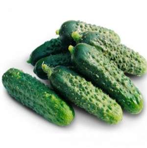 Огурец Оптимус F1 250 семян. (Lark Seeds) Огурец Оптимус F1 250 семян. (Lark Seeds)