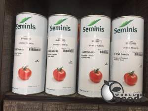 Томат SV 8320 TD F1 5000 семян. (Seminis) Томат SV 8320 TD F1 5000 семян. (Seminis)
