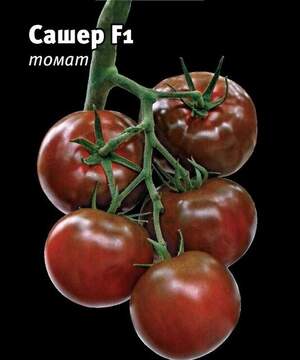 Помидоры Биг Сашер F1 100 семян. (Yuksel Seeds)
