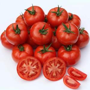 Томат Саргас F1 1000 семян. (Yuksel Seeds) Томат Саргас F1 1000 семян. (Yuksel Seeds)