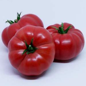 Помидоры Сонароза F1 500 семян. (Yuksel Seeds) Помидоры Сонароза F1 500 семян. (Yuksel Seeds)