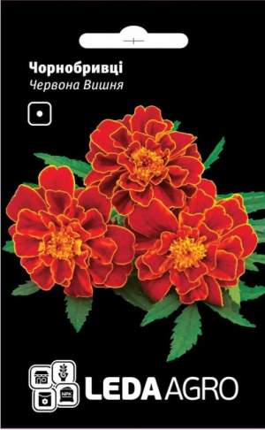 Бархатцы Красная вишня 0,25г.  L