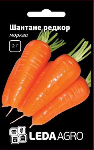 Морковь Шантане Редкор 2 гр. L Морковь Шантане Редкор 2 гр. L