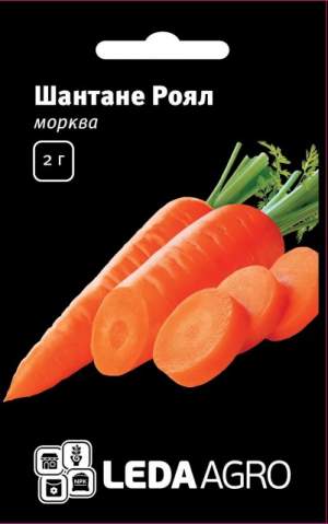 Морковь Шантане Роял 2 гр. L Морковь Шантане Роял 2 гр. L