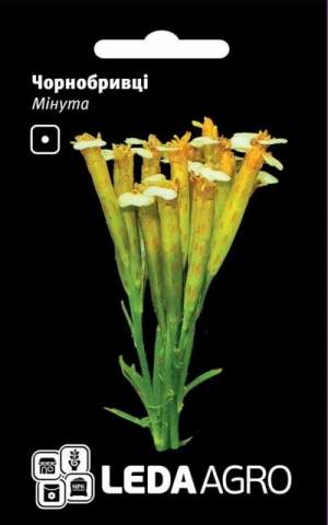 Бархатцы Минута 0,3г.  L