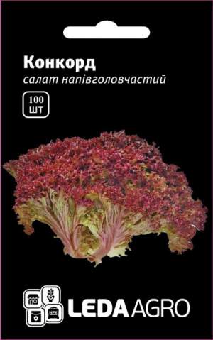 Салат Конкорд, салат Лолло Россо 100 семян. L Салат Конкорд, салат Лолло Россо 100 семян. L