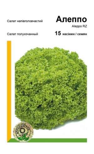 Салат Алеппо 15 семян. А Салат Алеппо 15 семян. А