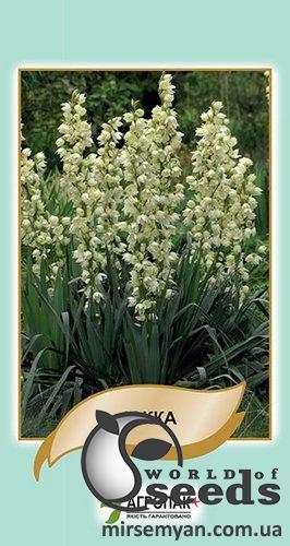 Юкка 5 семян. А