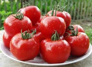 Помидоры Чимган F1 1000 семян. (Clause)
