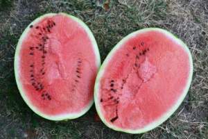 Арбуз Бютифул F1 1000 семян. (Lark Seeds) Арбуз Бютифул F1 1000 семян. (Lark Seeds)