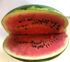 Арбуз Дата F1 1000 семян. (Lark Seeds) Арбуз Дата F1 1000 семян. (Lark Seeds)