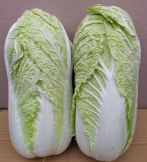 Капуста пекинская Индекс F1 2500 семян. (Lark Seeds) Капуста пекинская Индекс F1 2500 семян. (Lark Seeds)