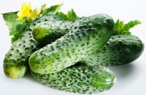 Огурец Убеда F1 1000 семян. (Lark Seeds) Огурец Убеда F1 1000 семян. (Lark Seeds)