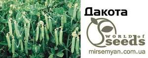 Горох овочевий Дакота 100 000 нас. (Syngenta)