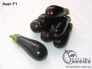 Баклажан Анет F1, 1000 нас. (Nunhems)