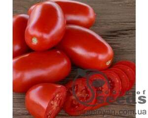 Томат «Класік» F1 1000 семена Нунемс (Nunhems)