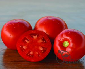 Томат «Платинум» F1 1000 семена Нунемс (Nunhems)