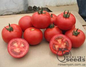 Томат «Валдай» F1 500 семена Нунемс (Nunhems)