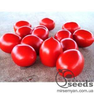 Томат «Ред Скай» F1 5 000 семена Нунемс (Nunhems)