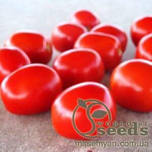 Томат «Фоккер» F1 25000(драже) семена Нунемс (Nunhems)