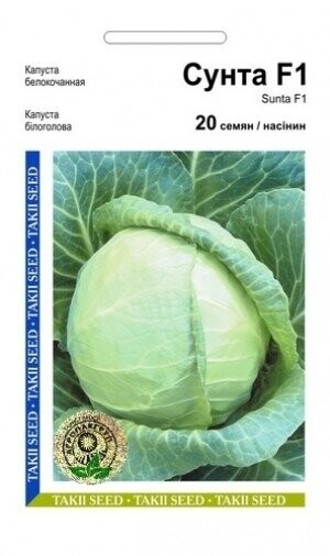 Капуста білокачанна рання «Сунта» F1 20 насінин, А Takii Seeds Капуста білокачанна рання «Сунта» F1 20 насінин, А Takii Seeds