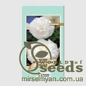 Бегонія крупноквіткова (біла), 20 насінин А Бегонія крупноквіткова (біла), 20 насінин А