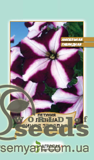 Петунія гібридна ампельна крупноквіткова Петунія гібридна ампельна крупноквіткова