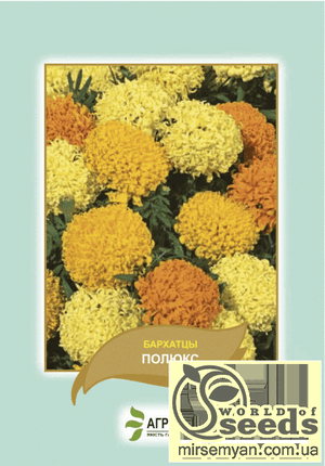 Насіння чорнобривців прямостояче 