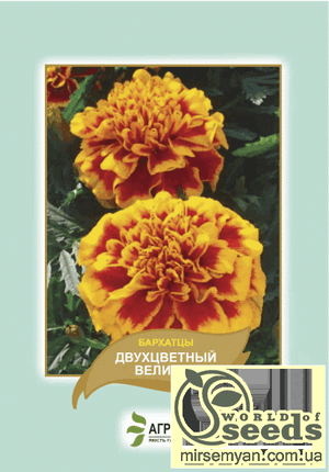 Насіння чорнобривців відхилене „Двоколірний Велетень” 5 г А