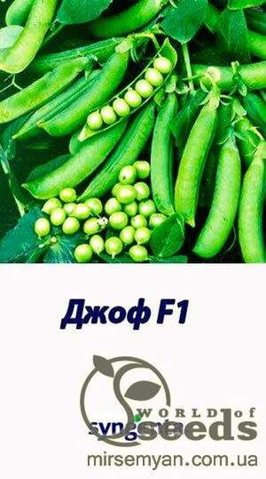 Горох овочевий 