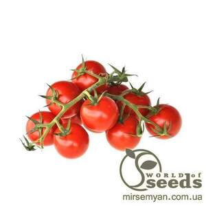 Томат «Метро» F1 1000 семена Нунемс (Nunhems) Томат «Метро» F1 1000 семена Нунемс (Nunhems)