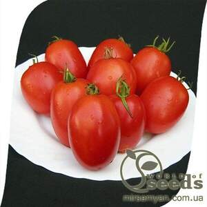 Томат «Велоз» F1 1000 насінин, Семініс, (Seminis) Томат «Велоз» F1 1000 насінин, Семініс, (Seminis)