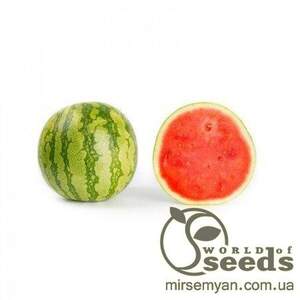 Кавун середньоранній 