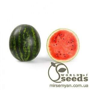 Кавун ранній 