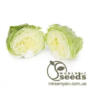 Салат Салат