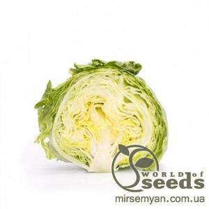 Салат Салат