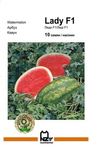 Кавун Кавун
