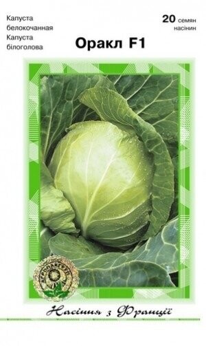 Капуста білокачанна супер рання Капуста білокачанна супер рання