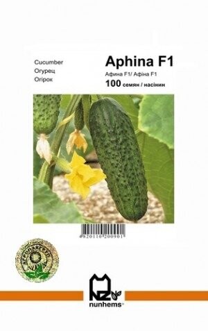 Огірок Афіна F1 - 100 насінин А (Nunhems) Огірок Афіна F1 - 100 насінин А (Nunhems)