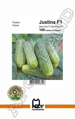 Огірок Джустіна F1 - 100 насінин А (Nunhems) Огірок Джустіна F1 - 100 насінин А (Nunhems)