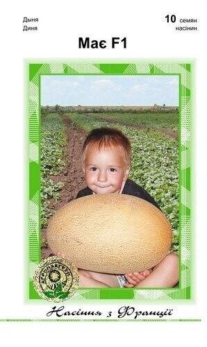 Диня Травня F1 - 10 насінин А (Clause Tezier) Диня Травня F1 - 10 насінин А (Clause Tezier)
