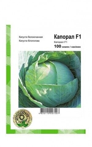 Капуста білокачанна Капорал F1 - 100 насінин А (Clause Tezier) Капуста білокачанна Капорал F1 - 100 насінин А (Clause Tezier)
