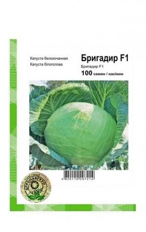 Капуста білокачанна Бригадир F1 - 100 насінин А (Clause Tezier) Капуста білокачанна Бригадир F1 - 100 насінин А (Clause Tezier)