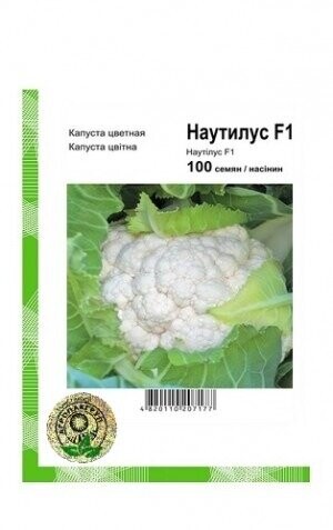 Капуста цвітна Наутілус F1 - 100 насінин А (Clause Tezier) Капуста цвітна Наутілус F1 - 100 насінин А (Clause Tezier)