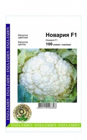 Капуста цвітна Новарія F1 - 100 насінин А (Enza Zaden) Капуста цвітна Новарія F1 - 100 насінин А (Enza Zaden)