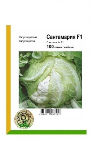 Капуста цвітна Сантамарія F1 - 100 насінин А (Rijk Zwaan) Капуста цвітна Сантамарія F1 - 100 насінин А (Rijk Zwaan)